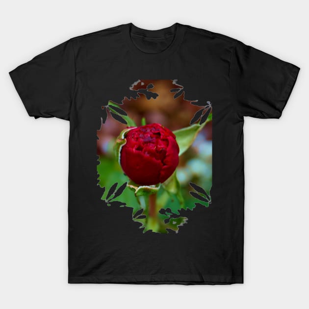 Rose Bud Rose T Shirt TeePublic